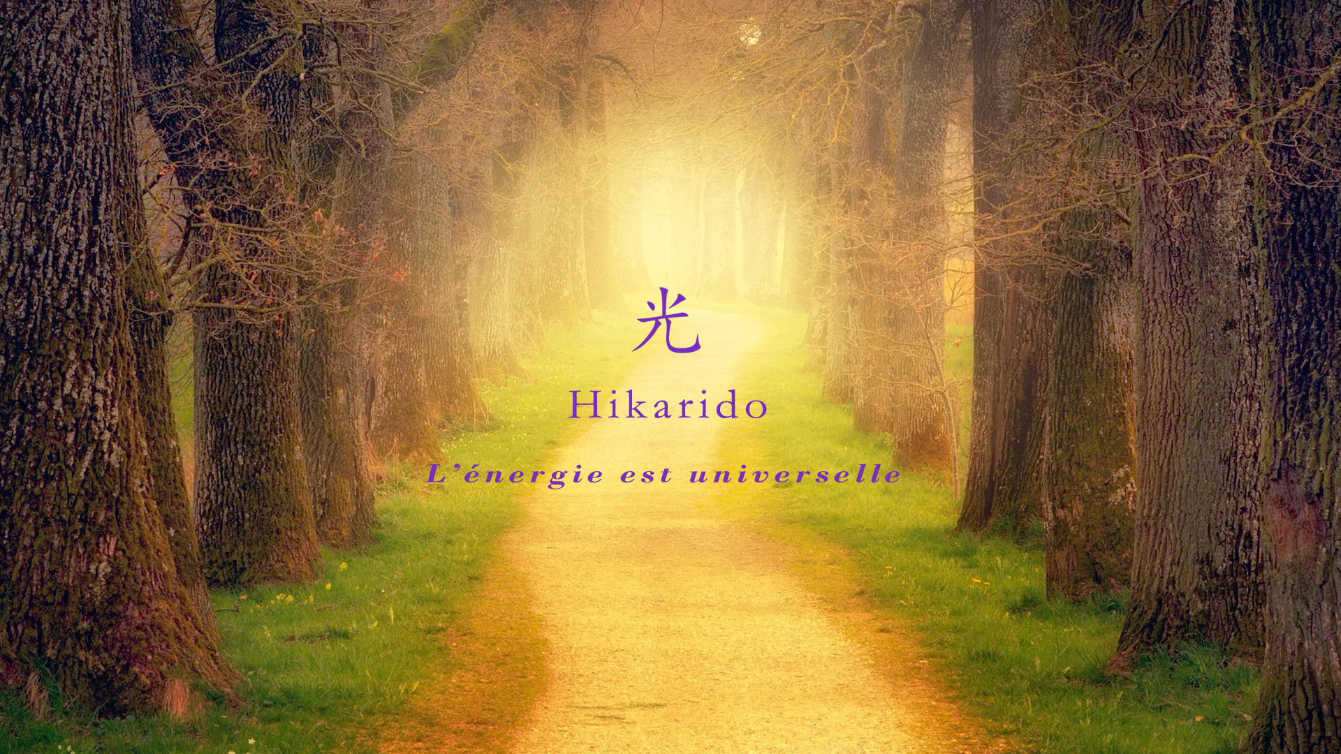 Atelier découverte du Reiki